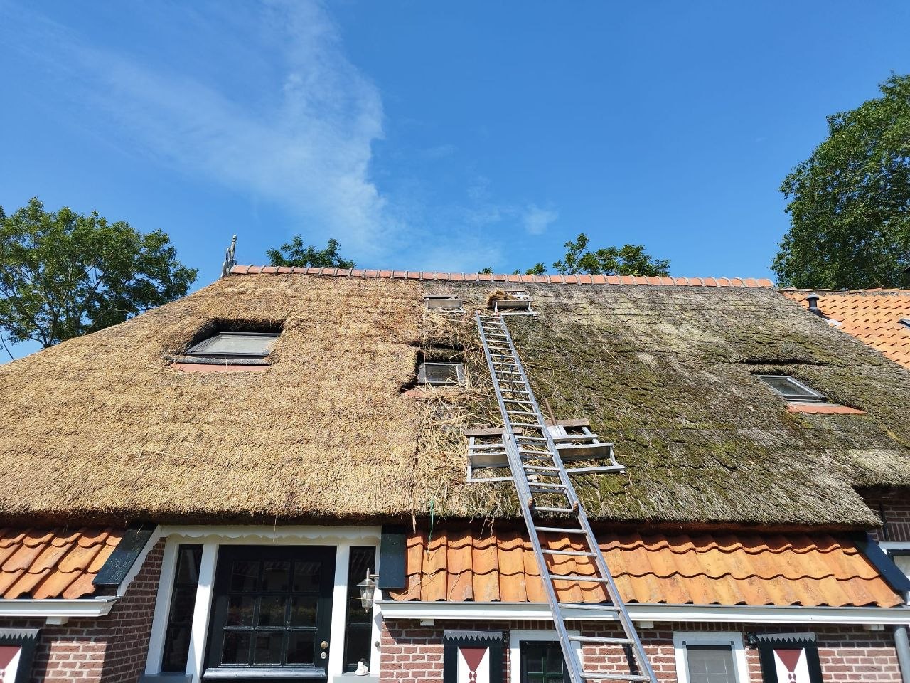 Mos verwijderen van rieten dak in uitvoering – links schoon, rechts nog begroeid – Alting Rietbeheer